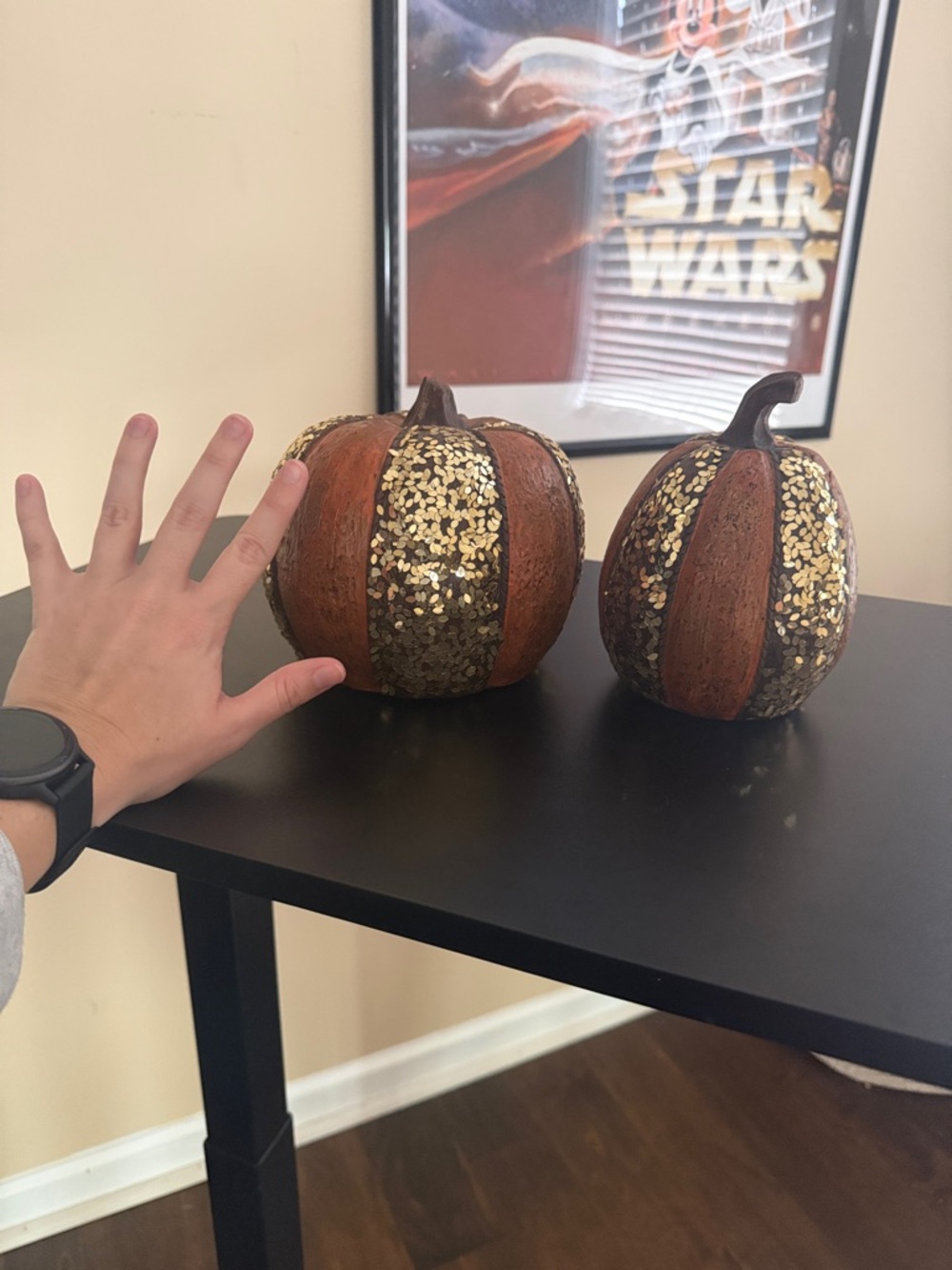 Home Decor Pumpkins - Picture 4 of 5